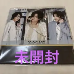 WANDS 1996 ファンクラブ カレンダー / 上杉昇 柴崎浩 ワンズ - メルカリ