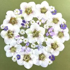 Item thumbnail for item b03d5e3a-9793-42fc-a16e-75de8a082aeb