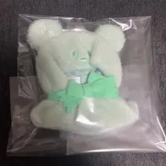 ディズニー ディズニーストア　ユニベアシティ　シークレットポンチョ　緑