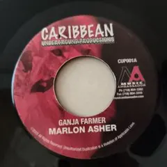 ARARE - MAMA ジャパレゲ 7インチ レコード - メルカリ