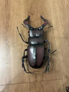 Item thumbnail for item ef77103d-a489-430d-905f-cefaea6ab4ca