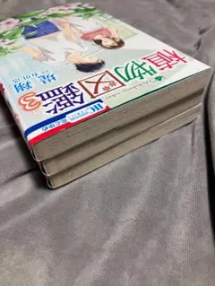 Item thumbnail for item 8d52c3e3-55a5-43b6-95ac-696dd4f13920