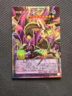 四天の龍　スターヴ・ヴェノム・フュージョン・ドラゴン　オーバーフレーム　PSE