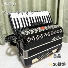 2026年最新】アコーディオンの人気アイテム - メルカリ