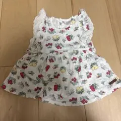 futafutaフルーツ いちご さくらんぼ トップス