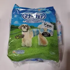 Item thumbnail for item 758fce5b-4e9c-46e0-a745-0488d225bf2d