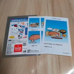 サンリオ　証明写真風スマロイド　KIRIMIちゃん.