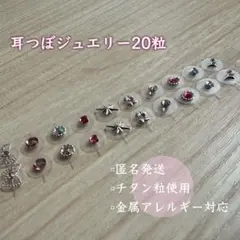 32.耳つぼジュエリー　チタン20粒