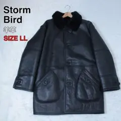 Item thumbnail for item 9f2af219-07c6-4e68-974b-754eed3af58a