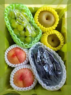 フルーツセット(⁠ ⁠◜⁠‿⁠◝⁠ ⁠)⁠♡