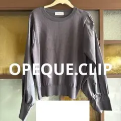 OPEQUE.CLIP サイズ40 グレートップスのサムネイル