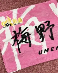阪神タイガース 2026 シークレットフェイスタオル 梅野 隆太郎 選手