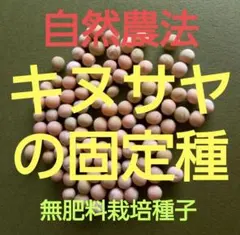 あさの様 リクエスト 8点 まとめ商品