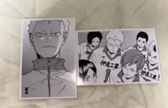 ハイキュー クロニクル 10周年 スナップフォトカード 二口堅治 青根高伸