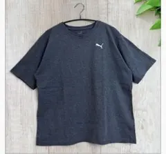 プーマ PUMA メンズ PTC ネップ Tシャツ ラグラン 674900 古着