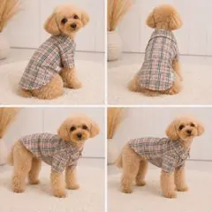 レア物　BURBERRY　LONDON ペット用品　服 2026年最新】バーバリー犬服の人気アイテム - メルカリ