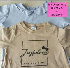サイズ100〜110　女の子　長袖2点