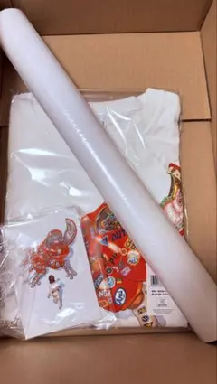 AKIRA 攻殻機動隊 大友克洋 士郎正宗の世界展 ポスター Tシャツ カード