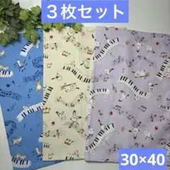 ３枚組★ランチョンマット★給食ナフキン★シマエナガ＆ネコ