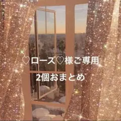 ♡ローズ♡様ご専用 2個おまとめ