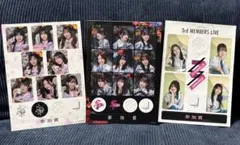 櫻坂46 ライブステッカー
