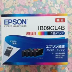エプソン インクカートリッジ 純正プリンターインク 大容量 4色パック IB0…のサムネイル