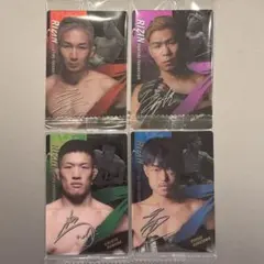 Item thumbnail for item 131282b2-2790-41df-babb-57fac269fcc7