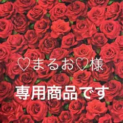 ❣️ご注文商品です❣️