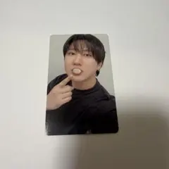 Stray Kids チャンビン　トレカ KARMA FANS特典
