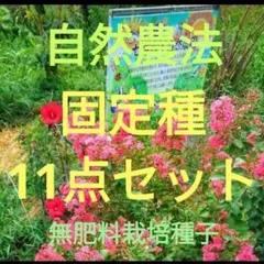 自然農法　固定種の11点セット(すべて無肥料栽培種子です。)