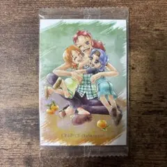 ワンピース　ウエハースカード　ナミ　ノジコ　ベルメール　our memories