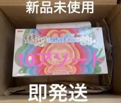 Big into Energy フィギュアボックス 新品未使用