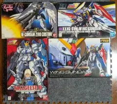 HG ハイネ専用 デスティニー 最終決戦 他12機セット ガンプラまとめ