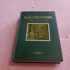 原色日本樹木図鑑♦♦♦のサムネイル