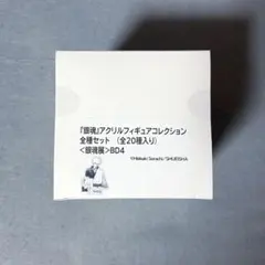 銀魂展 アクフィ ボックス 未開封