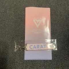 SEVENTEEN 2020 CARAT LAND ポラロイドフォト - メルカリ