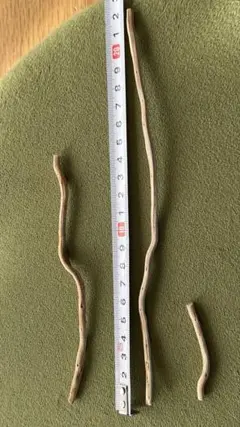 水槽用 流木3本セット 自然な形状