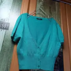 Item thumbnail for item 40463dca-672d-4b94-bb48-e3d03da73381