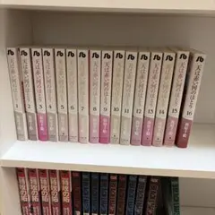 天は赤い河のほとり 文庫版 全16巻セット - メルカリ