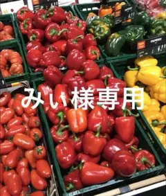 みぃ様専用（205。154）