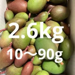 摘果マンゴー 7kg - メルカリ