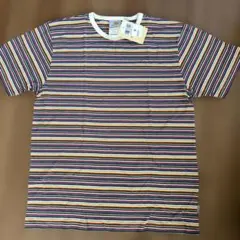 Carhartt カラーストライプ Tシャツ M 未使用　00'sのサムネイル