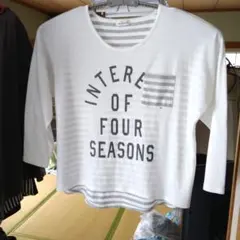 3L 未使用 １回洗濯 ストライプデザイン長袖Tシャツ