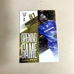 大阪ブルテオン　ミゲルロペス　カード