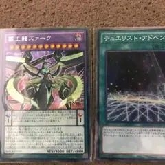 覇王龍ズァーク シク    デュエリスト アドベント