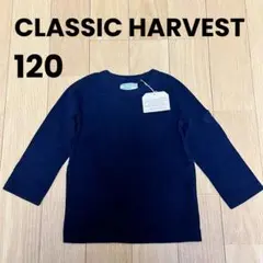 Item thumbnail for item 1731ddf2-eb4f-4464-b01e-f0200aae71b1