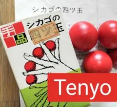 2026年最新】テンヨー 四つ玉の人気アイテム - メルカリ