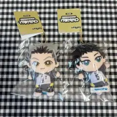 ハイキュー　ちびぬい　木兎　赤葦