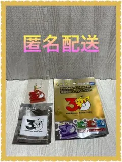 [新品未使用] ポケモン 30周年 ポケチャーム ロゴマスコット　ヒコザル