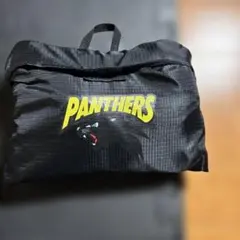 Item thumbnail for item aec5dee0-c2c8-4ed2-991c-e90b20ee4076